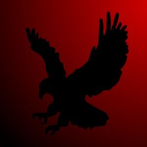 Meet your Posher, Harry